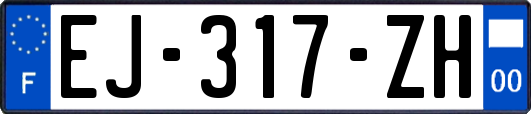 EJ-317-ZH