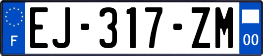 EJ-317-ZM