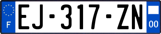 EJ-317-ZN
