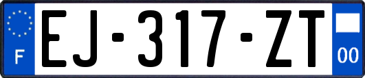 EJ-317-ZT