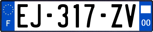 EJ-317-ZV