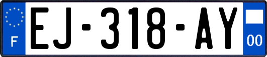 EJ-318-AY