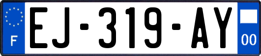 EJ-319-AY