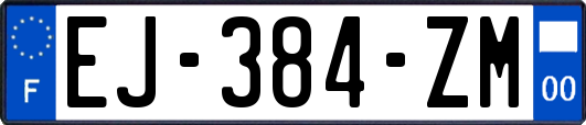 EJ-384-ZM