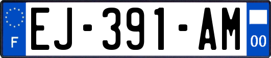 EJ-391-AM