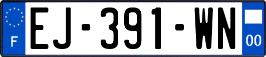 EJ-391-WN