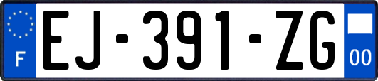 EJ-391-ZG
