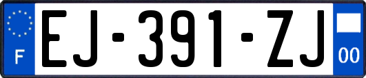 EJ-391-ZJ