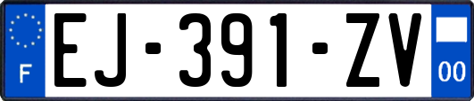 EJ-391-ZV