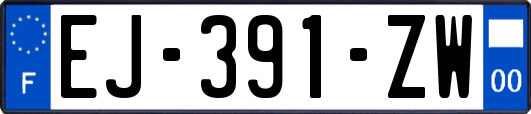 EJ-391-ZW
