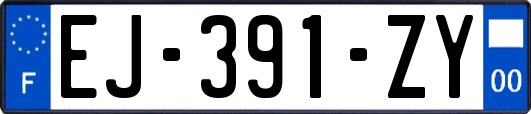 EJ-391-ZY