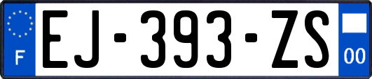 EJ-393-ZS