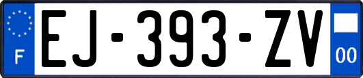 EJ-393-ZV