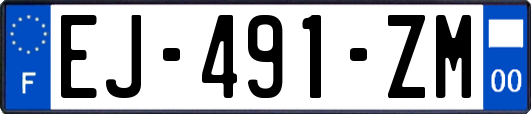 EJ-491-ZM