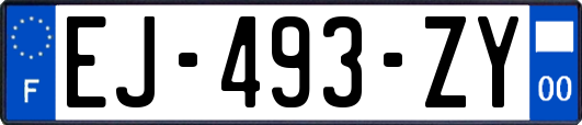 EJ-493-ZY