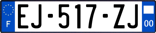 EJ-517-ZJ