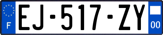 EJ-517-ZY