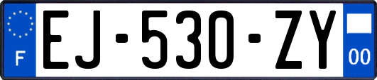 EJ-530-ZY