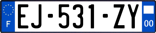 EJ-531-ZY