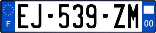 EJ-539-ZM