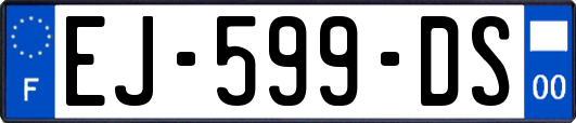 EJ-599-DS