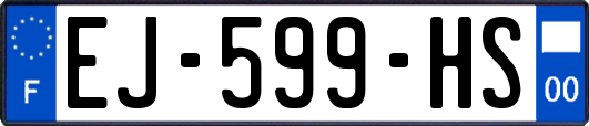 EJ-599-HS