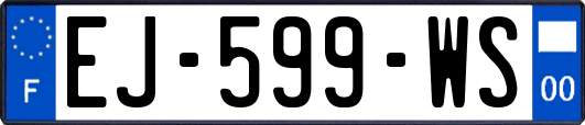 EJ-599-WS