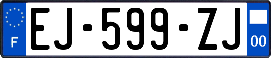 EJ-599-ZJ