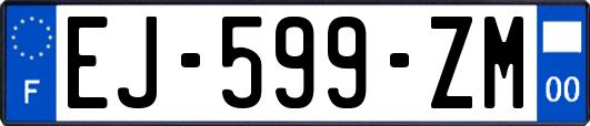 EJ-599-ZM