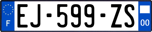 EJ-599-ZS