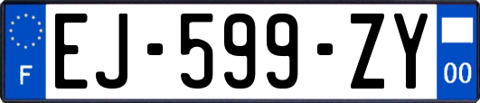 EJ-599-ZY