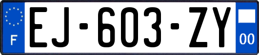 EJ-603-ZY