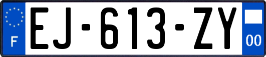 EJ-613-ZY
