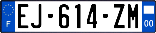 EJ-614-ZM