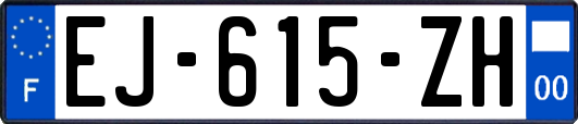 EJ-615-ZH