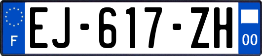 EJ-617-ZH