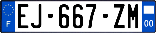 EJ-667-ZM