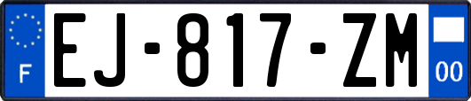 EJ-817-ZM