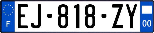 EJ-818-ZY