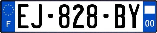 EJ-828-BY