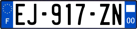 EJ-917-ZN