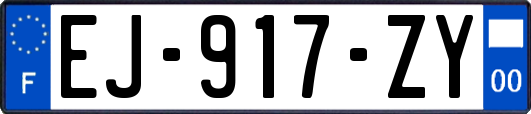 EJ-917-ZY