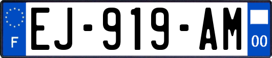 EJ-919-AM