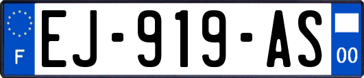 EJ-919-AS