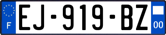 EJ-919-BZ