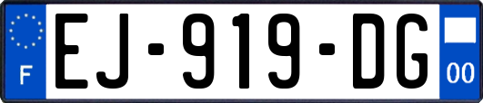 EJ-919-DG