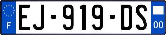 EJ-919-DS