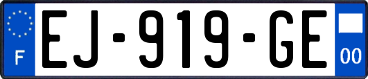 EJ-919-GE