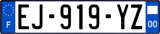 EJ-919-YZ