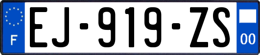 EJ-919-ZS